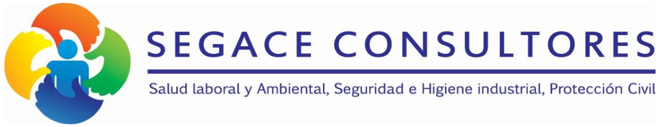 Segace Consultores